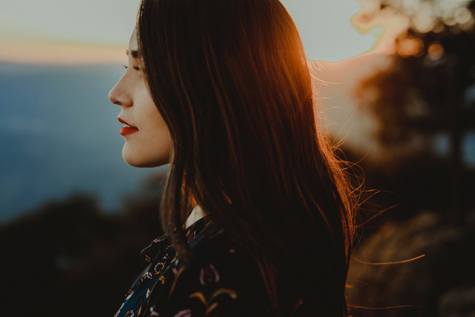 pexels-josÃ©-luis-photographer-2761798